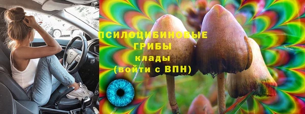 ALPHA PVP Лагань