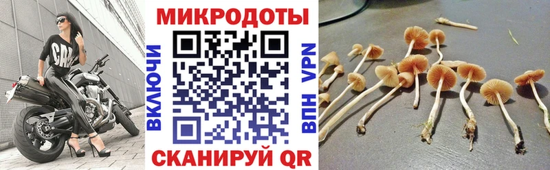 Псилоцибиновые грибы ЛСД  Куртамыш 